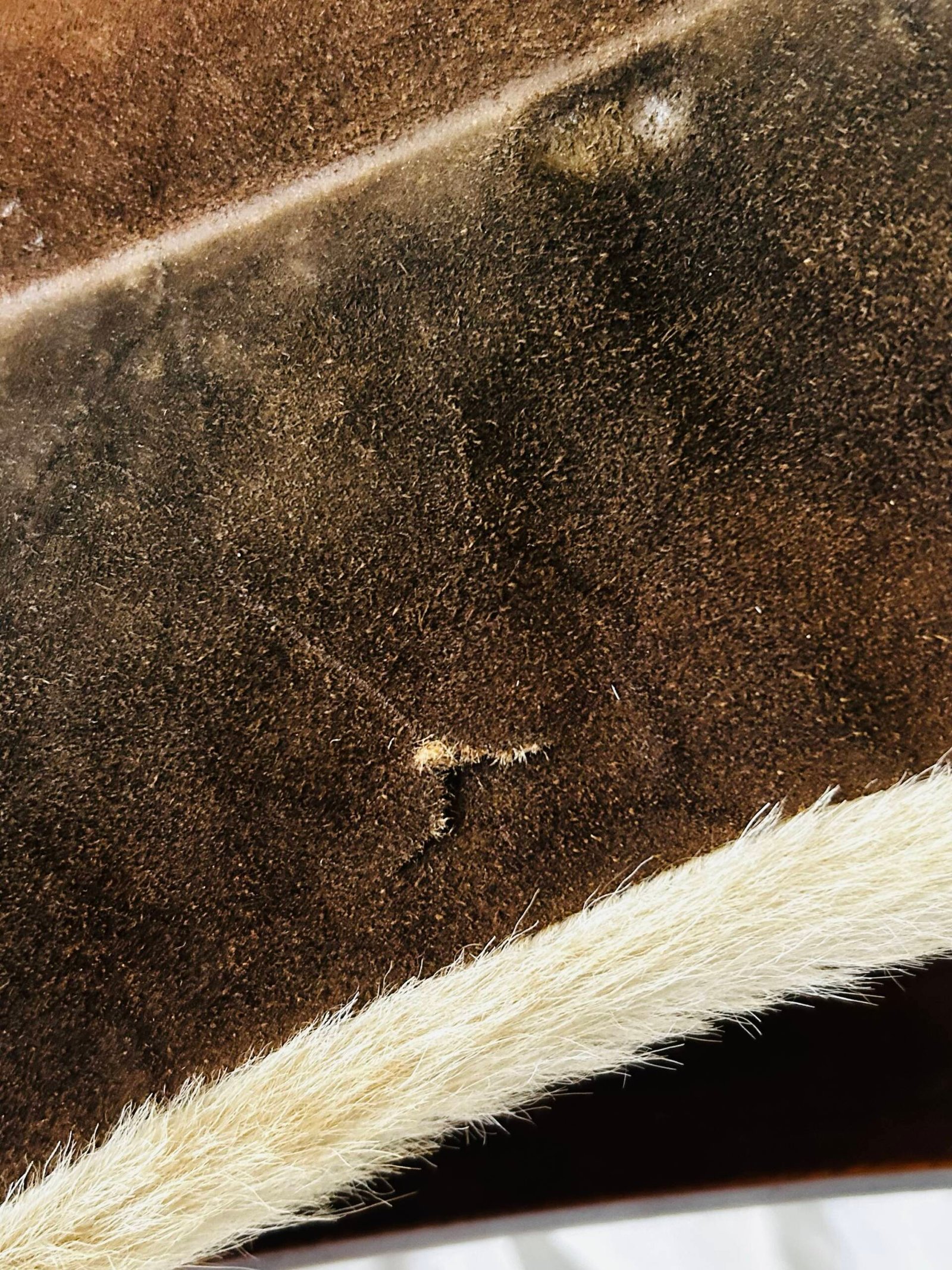 Vintage Moroccan camel saddle stool with cowhide upholstery ๐. - Image 12