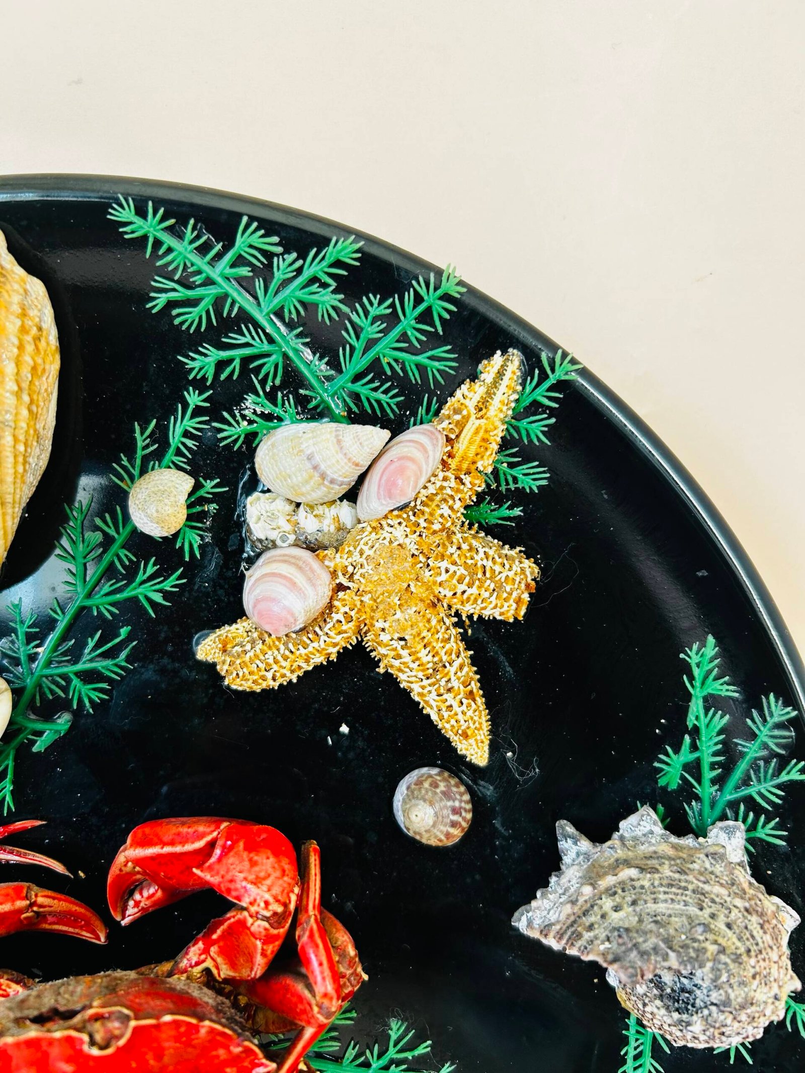 Vintage Sea Decorative Wall Plate ๐ฆ - Image 4